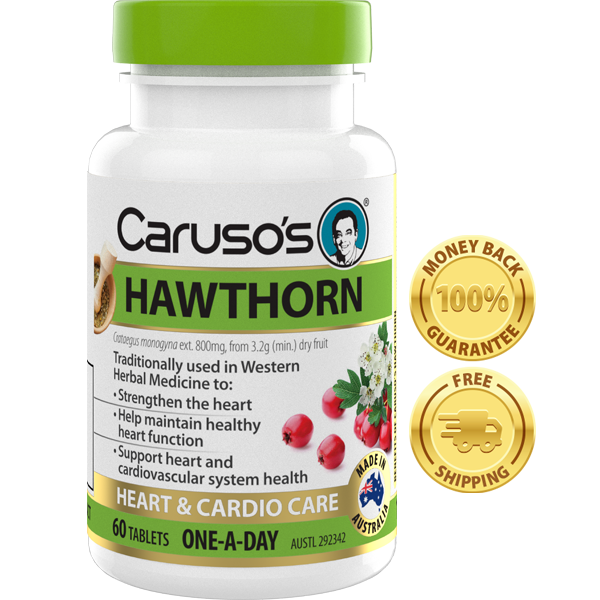 Hawthorn Tablets To Maintain Heart Health Caruso s Natural Health