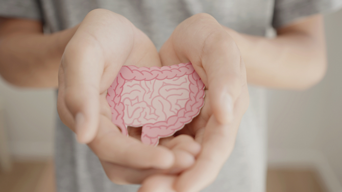 Supporting Your Gut Microbiome: Why It Matters?