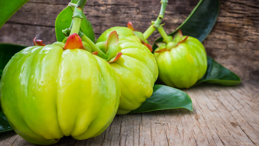 Discovering Garcinia: What You Need to Know About This Traditional Tropical Fruit