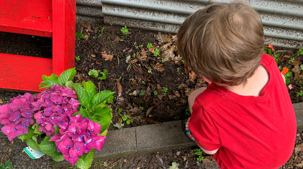 Why is Gardening Good for Kids