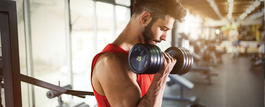 Top 10 Protein Rich Foods For Muscle Recovery